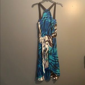 Blue zebra print dress